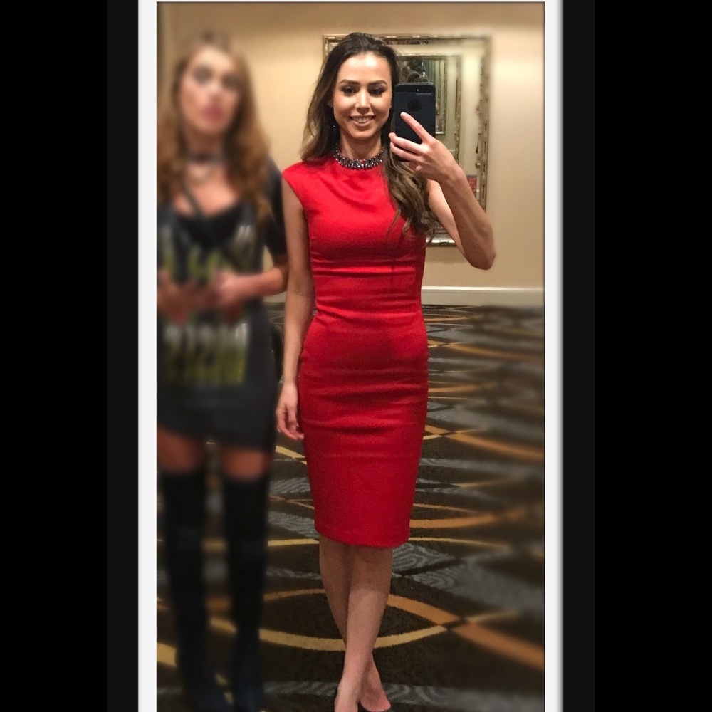 Ted Baker “Caylee” dress 0
